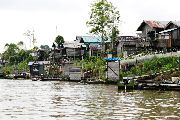 Foto: Cilts sievietes un saldūdens delfīnu meklējumi Borneo